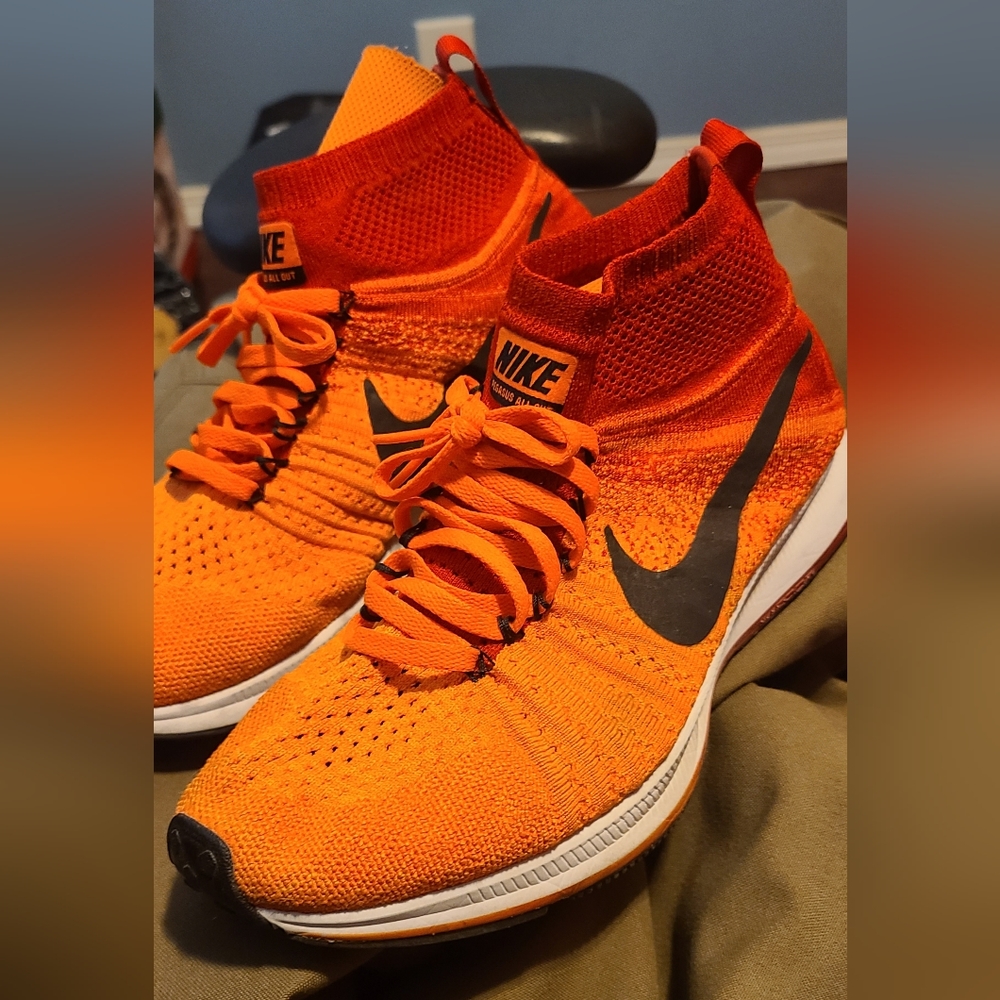 Nike Pegasus - image 2